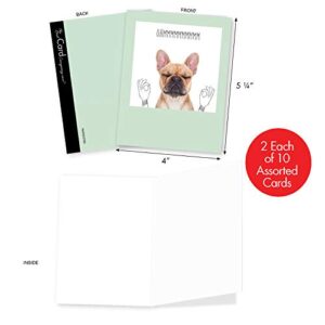 The Best Card Company - 20 Boxed Dog Cards with Envelopes (4 x 5.12 Inch) - Blank Assortment (10 Designs, 2 Each) - Dogs & Doodles AM6582OCB-B2x10