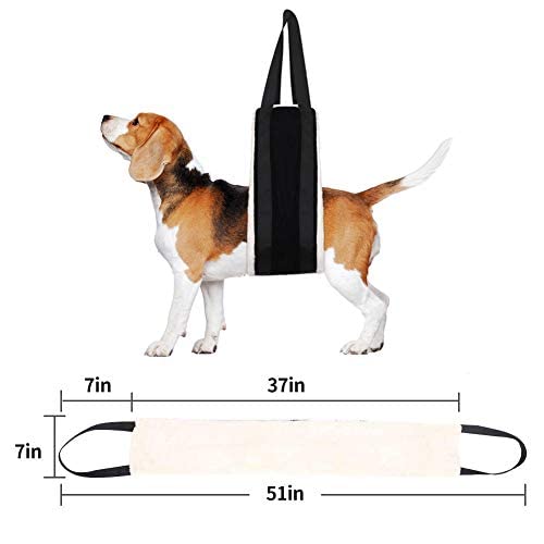 HNYG 30-120 lbs Large Dog Sling for Rear Legs Helps Elderly Dogs with Reduced Mobility, Dog Support K9 Dog Lift Harness, Dog Lifter for Arthritis ACL Rehabilitation Rehab, 7" x 51"