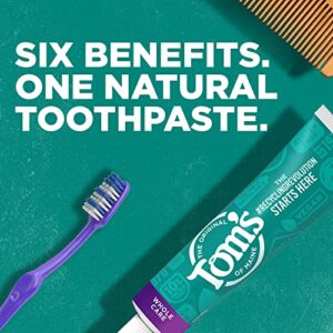 Tom's of Maine Whole Care Natural Toothpaste with Fluoride, Spearmint, 4 oz. 3-Pack