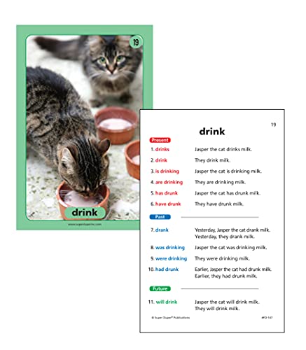 Super Duper Publications | Irregular Verbs in Sentences Photo Fun Deck Flash Cards | Educational Learning Resource for Children