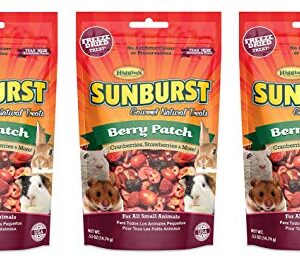 Higgins Sunburst Berry Patch, 0.52 Ounces, Freeze-Dried Fruit for All Small Animals (3 Pack - 0.52 Ounces)