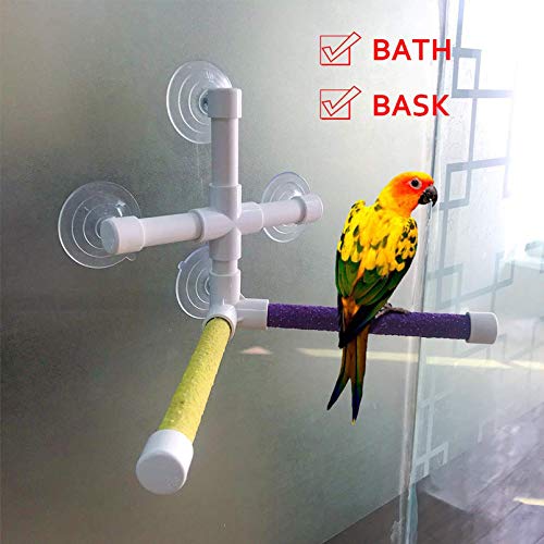 Hamiledyi Parakeet Bath Perch,Shower Perch,Parakeets Bird Bath Standing Platform,Suction Cup Window Basking,Bird Play Stand for Parrots Sunlight Toy Suitable for Parakeet,Cockatiel,Budgies,Cockatoo