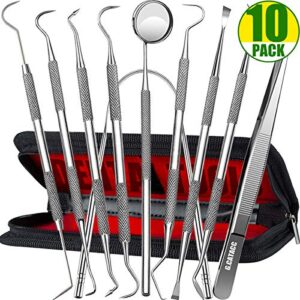 Dental Tools, Professional Teeth Cleaning Tools Stainless Steel Tartar Remover Oral Hygiene Care Scraper Tools Set for Adults, Kids, Family, Dogs with Leather Case, 11 Piece Set