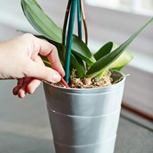 Miracle-Gro Orchid Plant Food Spikes (3)