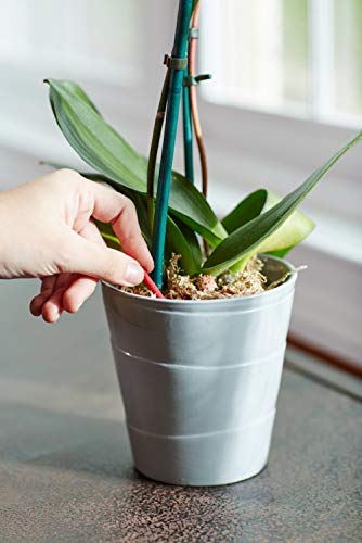 Miracle-Gro Orchid Plant Food Spikes (3)