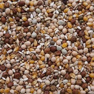 King 45 Pigeon Mix (17%) 20 lbs