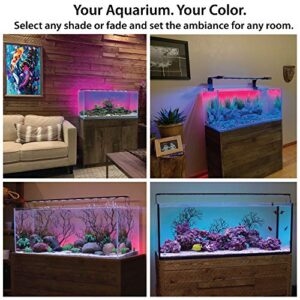 CURRENT USA Serene Aquarium Visual and Audio Aquatic Experience Kit | LED Background Light (48")