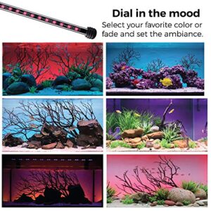 CURRENT USA Serene Aquarium Visual and Audio Aquatic Experience Kit | LED Background Light (48")