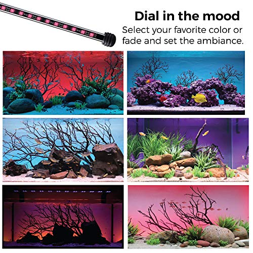 CURRENT USA Serene Aquarium Visual and Audio Aquatic Experience Kit | LED Background Light (48")