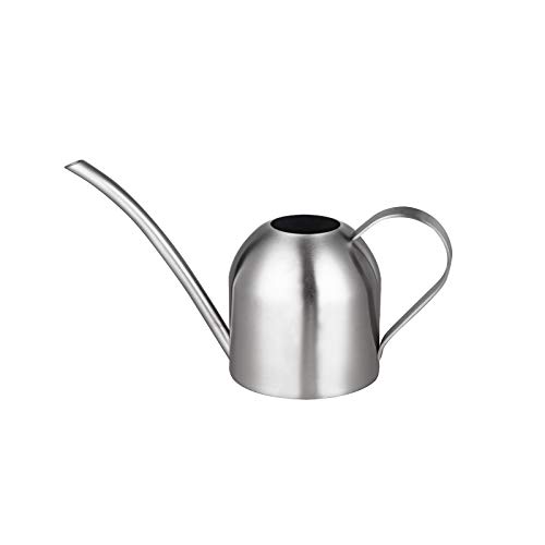 IMEEA Small Watering Can for Indoor Plants Stainless Steel Bonsai Watering can Mini Metal (15oz/450ml)