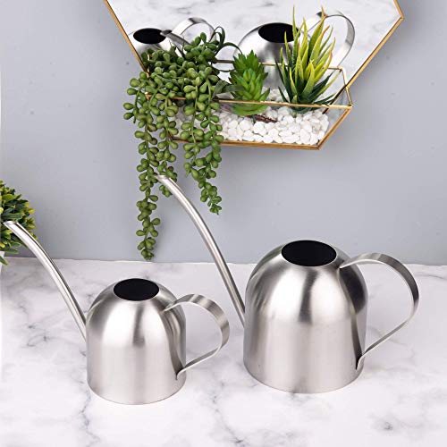 IMEEA Small Watering Can for Indoor Plants Stainless Steel Bonsai Watering can Mini Metal (15oz/450ml)