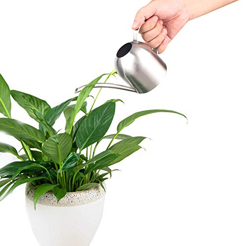 IMEEA Small Watering Can for Indoor Plants Stainless Steel Bonsai Watering can Mini Metal (15oz/450ml)