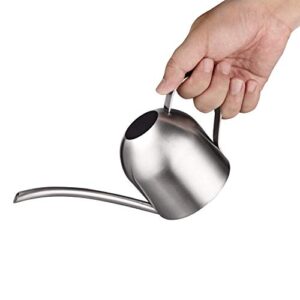 IMEEA Small Watering Can for Indoor Plants Stainless Steel Bonsai Watering can Mini Metal (15oz/450ml)