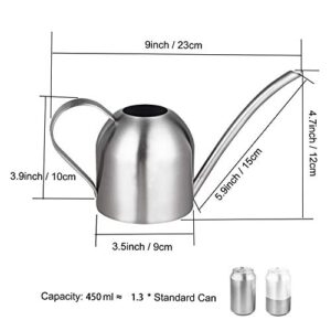 IMEEA Small Watering Can for Indoor Plants Stainless Steel Bonsai Watering can Mini Metal (15oz/450ml)