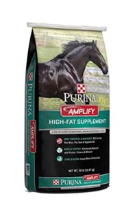purina animal nutrition amplify equine supplement