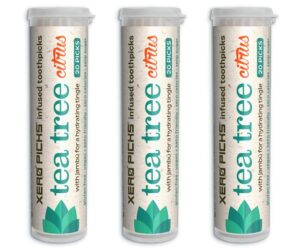 xero picks tea tree - infused flavored toothpicks for long lasting fresh breath & dry mouth prevention - 60 picks - 3 pack - citrus