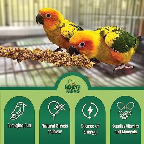 Nemeth Farms Worlds Freshest Sun-Dried Spray Millet Non-GMO and Pesticide Free (No Stems Only Edible Tops) Healthy Bird Treat and Supplement for All Pet Birds Keets Cockatiels Finches-1lb