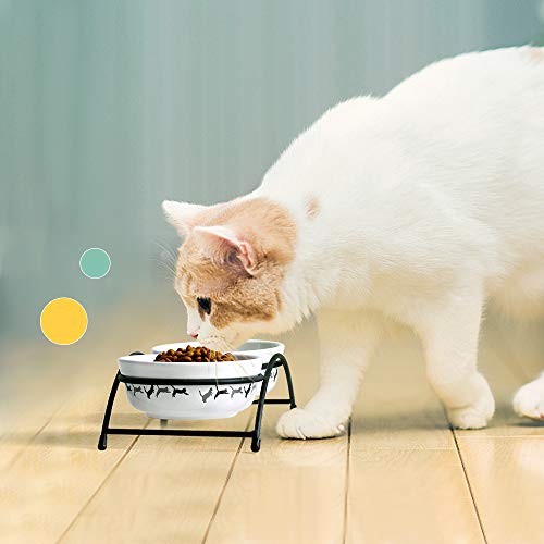 Y YHY Cat Bowls Elevated, Cat Food Dish Raised, Tall Cat Bowls for Food and Water, Ceramic Pet Dishes for Cat or Dogs, Anti Vomiting, Whisker Fatigue, Dishwasher Safe, 12 Ounces