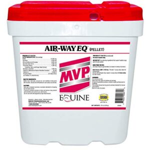 Med-Vet Pharmaceuticals Air-Way EQ (20lb) Supports Healthy Lung Funtion and Seasonal Allergy Support in Horses