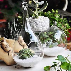 Mkono 3 Pack Glass Hanging Planter Air Fern Holder Terrarium Plants Hanger Vase Home Decoration Gift Idea for Succulent Moss Tillandsias Air Plants, Olive, Globe and Teardrop (Plant Not Included)