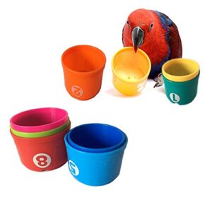 pivby bird educational stacking cup toys parrot treat chewing playing training toy for for medium to large birds