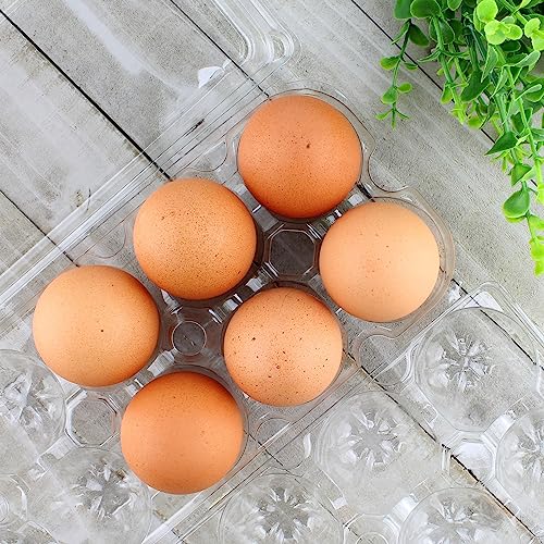 Clear Plastic Egg Cartons (20-Pack); Tri-Fold Containers for One Dozen Eggs