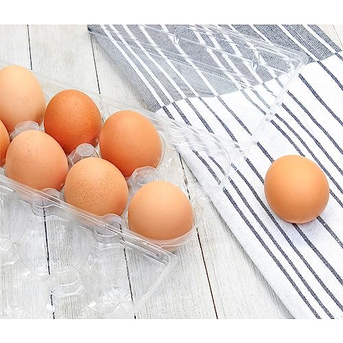 Clear Plastic Egg Cartons (20-Pack); Tri-Fold Containers for One Dozen Eggs