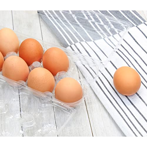 Clear Plastic Egg Cartons (20-Pack); Tri-Fold Containers for One Dozen Eggs