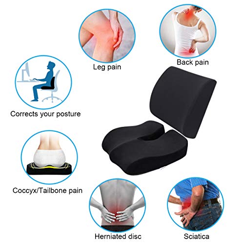 Wishcush Seat Cushion and Lumbar Support Pillow Set for Car Office Chair, Memory Foam Coccyx Seat Cushion for Lower Back, Tailbone, Sciatica Pain Relief…