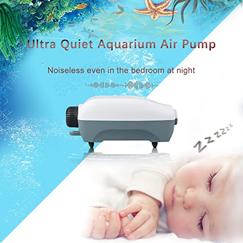 HITOP Dual Outlet Aquarium Electric Air Pump, Whisper Adjustable Fish Tank Aerator, Quiet Oxygen Pump with Accessories for 20 to 100 Gallon (2 outlets)