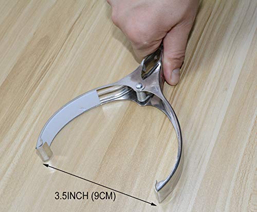 Beach Towel Clips, 12 Pcs 5.5 Inch Length Stainless Steel Mental Clips for Quilt, Beach Towel, Blankets, Clothes, Skirts, Pool Cover, Photos (5.5 inch 12 pcs)