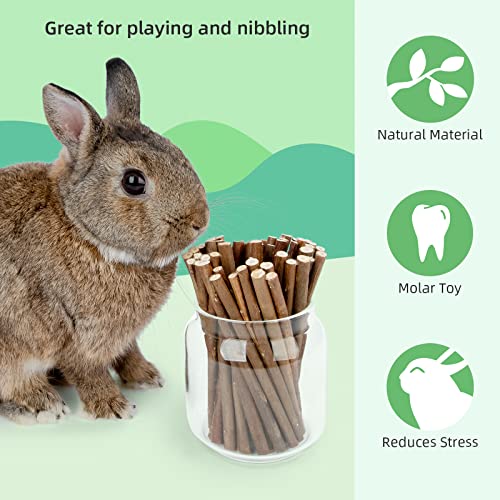 Niteangel Willow Mega Munch Sticks for Rabbits Chinchilla Guinea Pigs - Small Animal Treat Chew Toys - 2 Packs