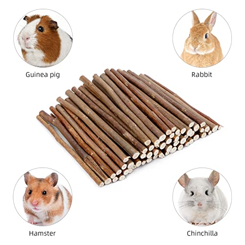 Niteangel Willow Mega Munch Sticks for Rabbits Chinchilla Guinea Pigs - Small Animal Treat Chew Toys - 2 Packs