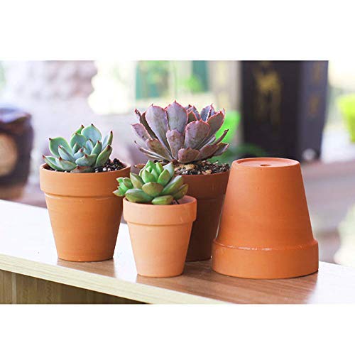 32 Pcs - 2.16" Small Mini Clay Pots Terracotta Pot Ceramic Pottery Planter Terra Cotta Flower Pot Succulent Nursery Pots - Great for Window Boxes, Cactus, Plants, Crafts, Wedding Favors