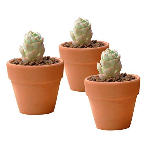 32 Pcs - 2.16" Small Mini Clay Pots Terracotta Pot Ceramic Pottery Planter Terra Cotta Flower Pot Succulent Nursery Pots - Great for Window Boxes, Cactus, Plants, Crafts, Wedding Favors