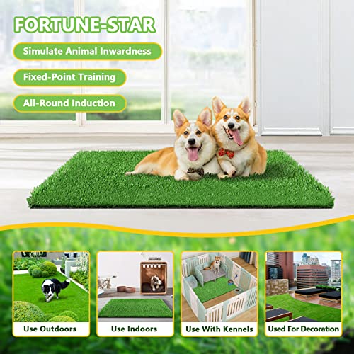 Fortune-star 39.3in X 31.5in Grass Pad for Dogs for Professional Potty Training, Reusable Artificial Grass for Dogs, Dog Grass with Drainage Holes, Turf Dog Potty for Indoor/Outdoor Easy to Clean