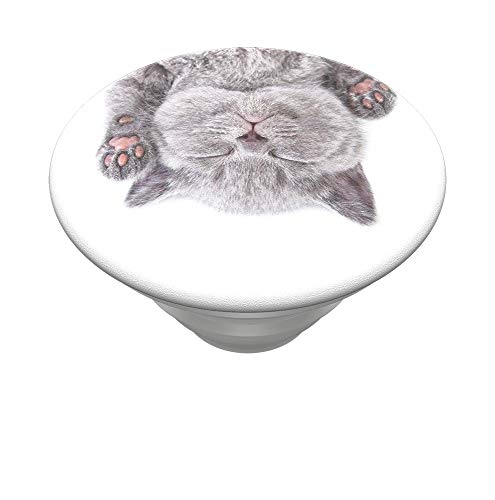 PopSockets PopTop (Top only. Base Sold Separately.): Swappable Top for PopGrip Bases, PopGrip Slide, Otter+Pop & PopWallet+ - Cat Nap