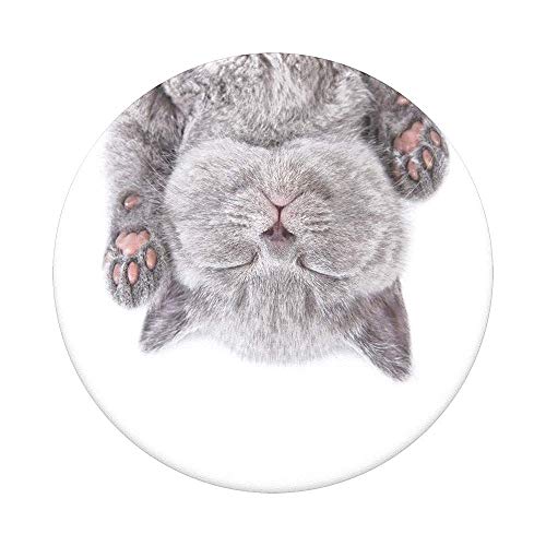 PopSockets PopTop (Top only. Base Sold Separately.): Swappable Top for PopGrip Bases, PopGrip Slide, Otter+Pop & PopWallet+ - Cat Nap