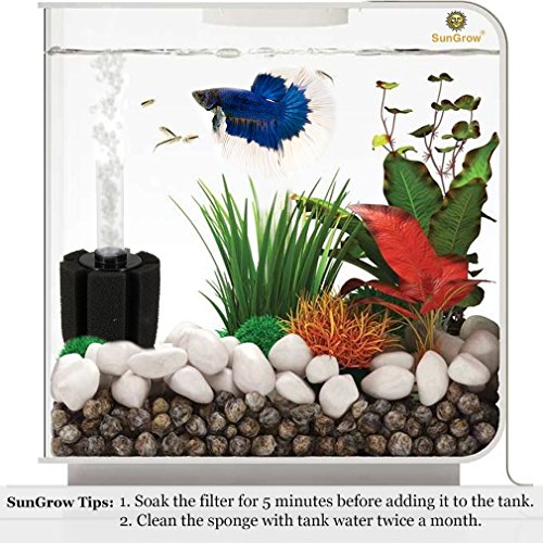 SunGrow 10-Gallon Betta Sponge Filter, Underwater Center Aquarium Filter, Attach it to Air Pump (Not Included) to Run, Works for Tropical Fish & Breeder Aquarium, Perfect for Fry & Small Fish