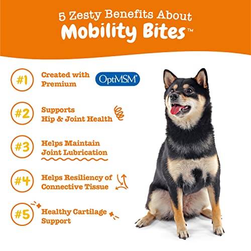 Zesty Paws Mobility Bites Dog Joint Supplement - Hip and Joint Chews for Dogs - Pet Products with Glucosamine, Chondroitin, & MSM + Vitamins C and E for Dog Joint Relief - Bacon – 90 Count