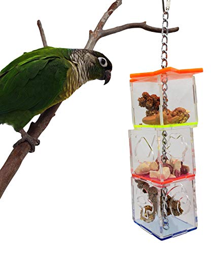 Tropical Chickens Parrot Bird Boredom Buster Forage Box Creative Hanging Treat Foraging Toy Conure Cockatiel for Small Bird Enrichment Transparent Acrylic Food Holder