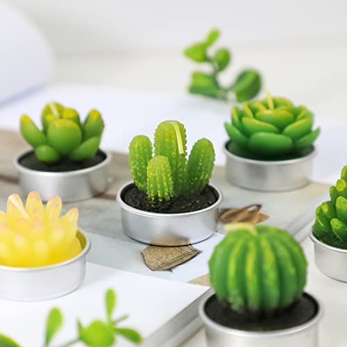 Tealight Candles, 6 Pack Cactus Candles, Cute Tealight Candles for Christmas Decorations, Mini Delicate Candles, Unscented Candles Gift for Birthday Party Wedding Home Decor