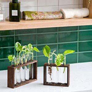 Mkono Wall Hanging Glass Planter Plant Terrarium Modern Flower Bud Vase in Wood Stand Rack Tabletop Terrarium for Propagating Hydroponic Plants, Home Office Decoration with 5 Test Tube, Medium, Brown