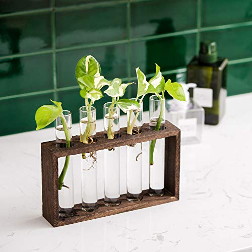 Mkono Wall Hanging Glass Planter Plant Terrarium Modern Flower Bud Vase in Wood Stand Rack Tabletop Terrarium for Propagating Hydroponic Plants, Home Office Decoration with 5 Test Tube, Medium, Brown
