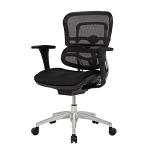 Workpro™ - Chair - 12000 Mesh Mid-Back Chair - Fabric/metal - 23" x 29" x 25.25" - Black