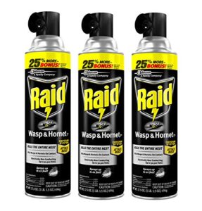 raid wasp and hornet killer, 17.5 oz (pack of 3)