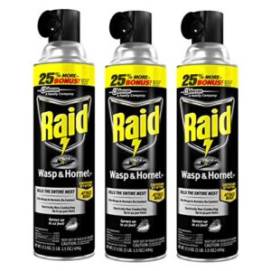 Raid Wasp and Hornet Killer, 17.5 OZ (Pack of 3)