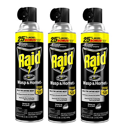 Raid Wasp and Hornet Killer, 17.5 OZ (Pack of 3)