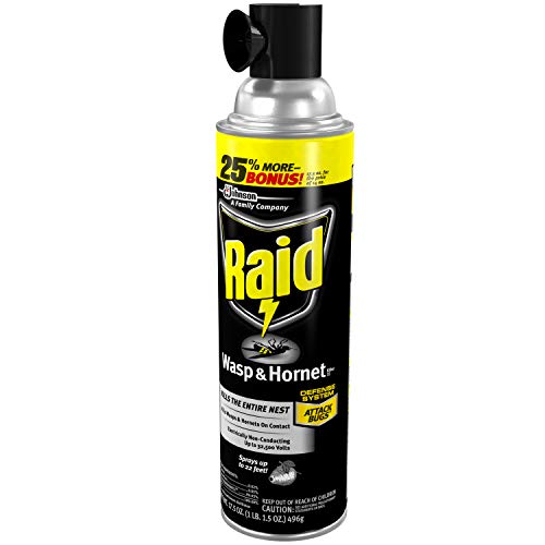 Raid Wasp and Hornet Killer, 17.5 OZ (Pack of 3)