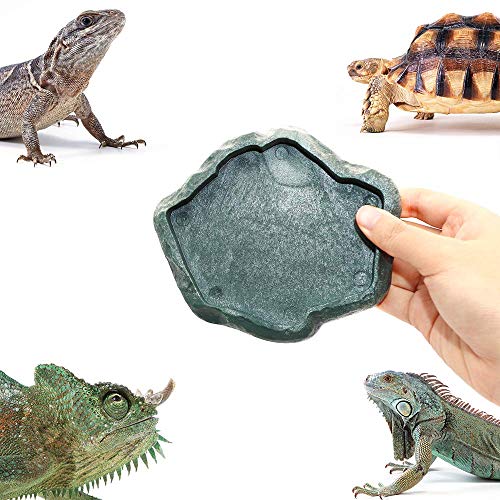 SLSON Reptile Feeder Terraium Bowl Plastic Shallow Reptile Feeder for Food and Water Feeding Dish for Lizard Gecko Bearded Dragon